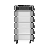 Ecoflow pro ultra with five extra batteries